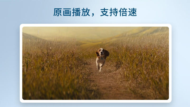 飞鸟下载器TV版 截图 3