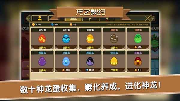 龙之契约电视版 截图 4