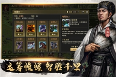 挂出个三国果盘版 截图 1